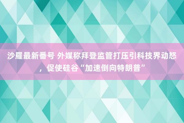 沙羅最新番号 外媒称拜登监管打压引科技界动怒，促使硅谷“加速倒向特朗普”