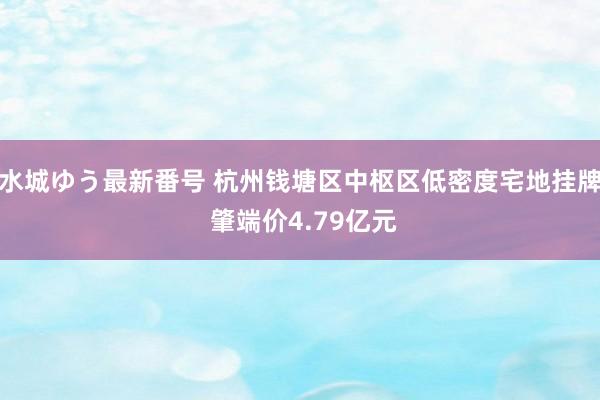 水城ゆう最新番号 杭州钱塘区中枢区低密度宅地挂牌 肇端价4.79亿元