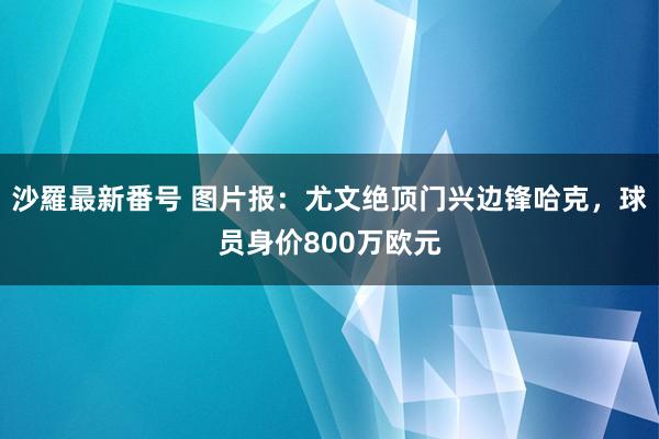 沙羅最新番号 图片报：尤文绝顶门兴边锋哈克，球员身价800万欧元