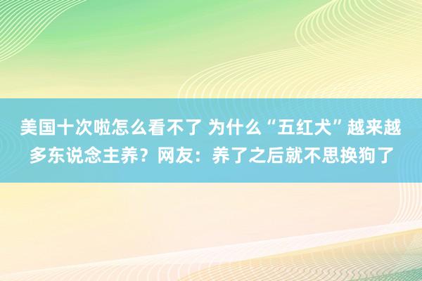 美国十次啦怎么看不了 为什么“五红犬”越来越多东说念主养？网友：养了之后就不思换狗了