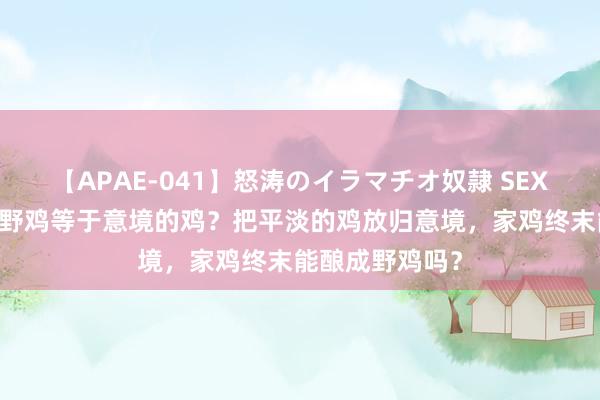 【APAE-041】怒涛のイラマチオ奴隷 SEXコレクション 野鸡等于意境的鸡？把平淡的鸡放归意境，家鸡终末能酿成野鸡吗？