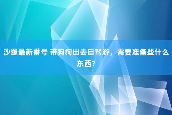 沙羅最新番号 带狗狗出去自驾游，需要准备些什么东西？