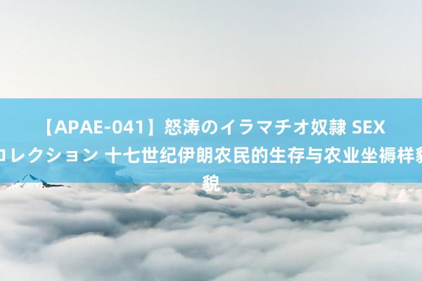 【APAE-041】怒涛のイラマチオ奴隷 SEXコレクション 十七世纪伊朗农民的生存与农业坐褥样貌