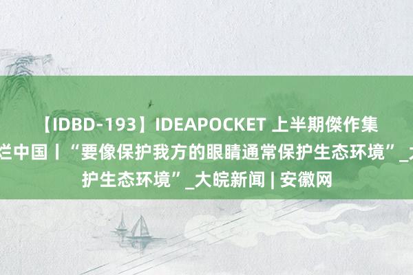 【IDBD-193】IDEAPOCKET 上半期傑作集2009 一习话·绚烂中国丨“要像保护我方的眼睛通常保护生态环境”_大皖新闻 | 安徽网