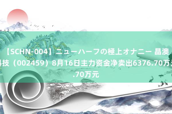 【SCHN-004】ニューハーフの極上オナニー 晶澳科技（002459）8月16日主力资金净卖出6376.70万元