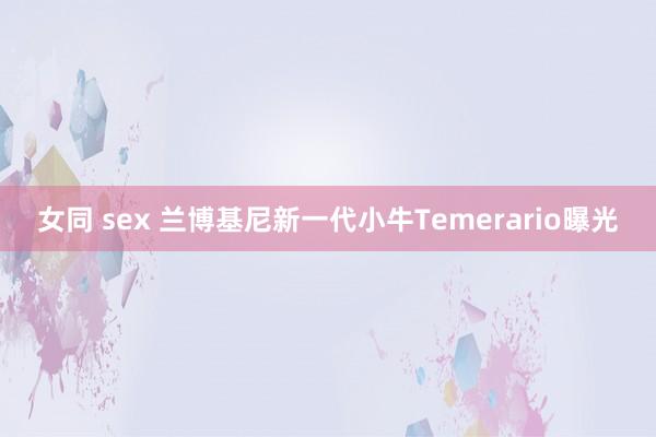 女同 sex 兰博基尼新一代小牛Temerario曝光