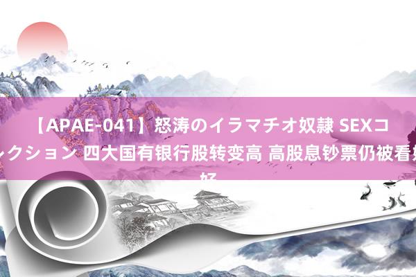 【APAE-041】怒涛のイラマチオ奴隷 SEXコレクション 四大国有银行股转变高 高股息钞票仍被看好