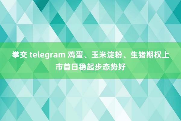 拳交 telegram 鸡蛋、玉米淀粉、生猪期权上市首日稳起步态势好