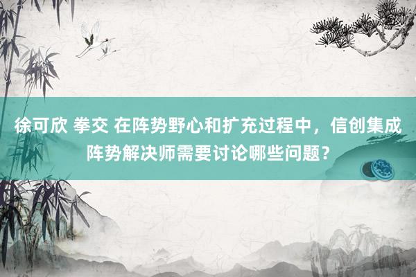 徐可欣 拳交 在阵势野心和扩充过程中，信创集成阵势解决师需要讨论哪些问题？