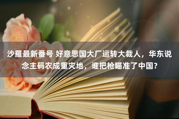 沙羅最新番号 好意思国大厂运转大裁人，华东说念主码农成重灾地，谁把枪瞄准了中国？