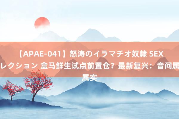 【APAE-041】怒涛のイラマチオ奴隷 SEXコレクション 盒马鲜生试点前置仓？最新复兴：音问属实