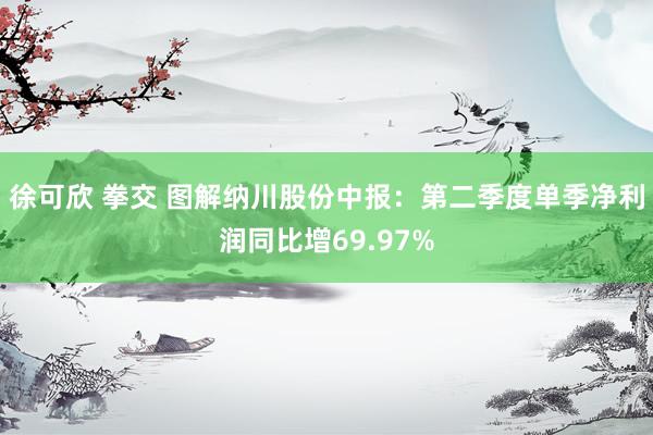 徐可欣 拳交 图解纳川股份中报：第二季度单季净利润同比增69.97%