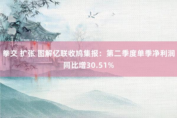 拳交 扩张 图解亿联收鸠集报：第二季度单季净利润同比增30.51%