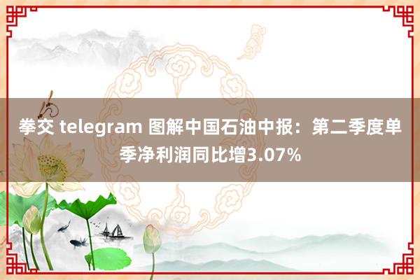 拳交 telegram 图解中国石油中报：第二季度单季净利润同比增3.07%