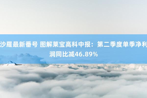 沙羅最新番号 图解莱宝高科中报：第二季度单季净利润同比减46.89%