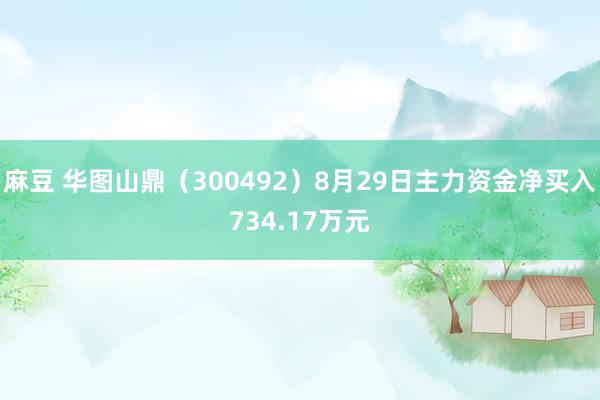 麻豆 华图山鼎（300492）8月29日主力资金净买入734.17万元