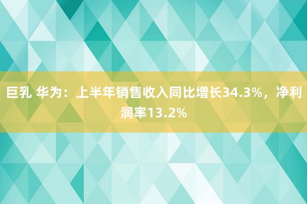 巨乳 华为：上半年销售收入同比增长34.3%，净利润率13.2%