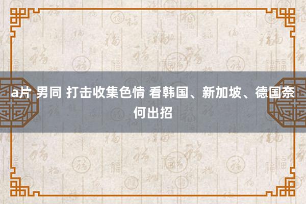 a片 男同 打击收集色情 看韩国、新加坡、德国奈何出招