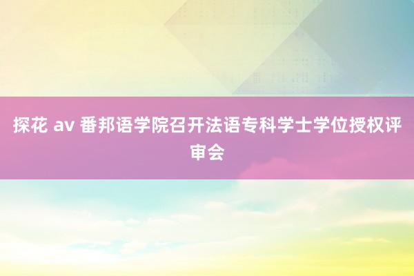 探花 av 番邦语学院召开法语专科学士学位授权评审会