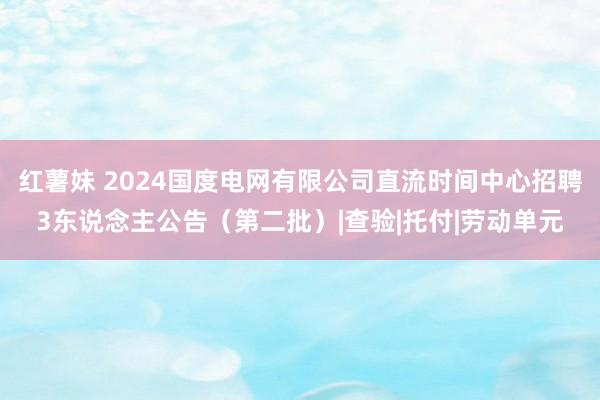 红薯妹 2024国度电网有限公司直流时间中心招聘3东说念主公告（第二批）|查验|托付|劳动单元