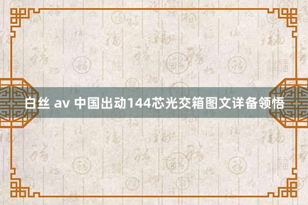 白丝 av 中国出动144芯光交箱图文详备领悟