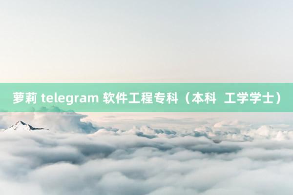 萝莉 telegram 软件工程专科（本科  工学学士）