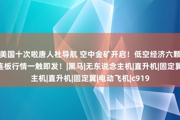 美国十次啦唐人社导航 空中金矿开启！低空经济六颗“金蛋”破壳，连板行情一触即发！|黑马|无东说念主机|直升机|固定翼|电动飞机|c919